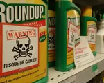 Nghị viện châu Âu bỏ phiếu cấm thuốc diệt cỏ Glyphosate