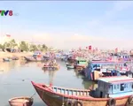 Khánh Hòa đầu tư, nâng cấp mở rộng các cảng cá