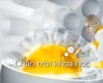 Thể lệ tham dự cuộc thi &apos;Đố vui cùng Chân trời khoa học&apos; trên VTV2