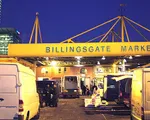 Billingsgate - Chợ hải sản lớn nhất thế giới vào thế kỷ 19