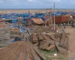 'Cơn sốt giá' gỗ đóng sửa tàu cá, bè thủy sản