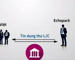 Nhiều doanh nghiệp xuất khẩu thủy sản bị lừa hàng trăm nghìn USD