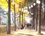 Gắn kết cộng đồng người Việt tại tỉnh Gyeongju - Hàn Quốc