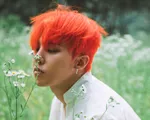 Fan chơi trội, xây dựng khu rừng G-Dragon đầu tiên ở Jeju