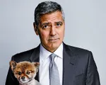 George Clooney phấn khích mong con chào đời