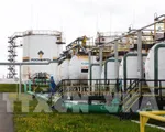 Giá dầu WTI của Mỹ chạm mức cao nhất kể từ giữa 2015