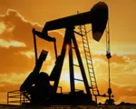 Giá dầu có thể về mốc 30 USD/thùng nếu OPEC không cẩn trọng