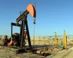 Giá dầu châu Á tiếp tục tăng do kỳ vọng OPEC cắt giảm sản lượng