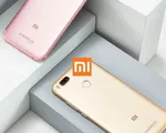 Xiaomi lập kỷ lục doanh số bán với 70 triệu chiếc smartphone