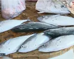 Thị trường hải sản Phú Yên sôi động trở lại sau Tết
