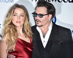 Amber Heard có nguy cơ phá sản sau khi ly dị Johnny Depp