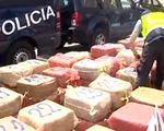 Argentina thu giữ 2 tấn cocaine