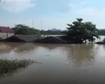 Sự cố vỡ đê Bùi 2: Không phải là “vỡ có kế hoạch”