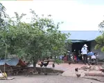 TP.HCM: Người dân trong khu quy hoạch treo được xây dựng tạm, sửa chữa nhà