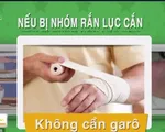 Các cách sơ cứu cơ bản khi bị rắn độc cắn