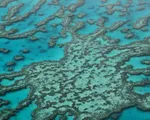 Rạn san hô Great Barrier Reef được định giá 56 tỷ USD