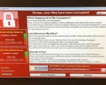 Europol cảnh báo các vụ tấn công mới tinh vi hơn WannaCry