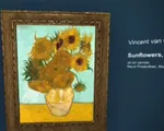 Thưởng thức kiệt tác của Van Gogh qua kính thực tế ảo