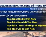 Quá nửa doanh nghiệp Nhà nước chưa công bố thông tin