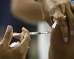 Brazil thực hiện chiến dịch tiêm vaccine ngừa bệnh sốt vàng da