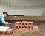Người dân TP.HCM tự giác sắp xếp điểm kinh doanh