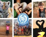 Liên Hợp Quốc kêu gọi giới trẻ bảo vệ động vật hoang dã