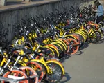 Mobike và Ofo lên kế hoạch sáp nhập dịch vụ xe đạp chia sẻ