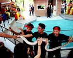 Thú vị ngôi nhà xiếc rắn Nha Trang Snake Show