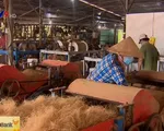 Người dân Trà Vinh ổn định cuộc sống với nghề se chỉ tơ xơ dừa