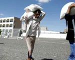 Yemen 'sụp đổ" hoàn toàn vì dịch tả và nạn đói