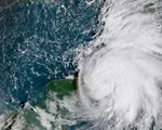 Florida Mỹ công bố tình trạng khẩn cấp đối phó bão Michael