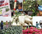 Hàng loạt siêu thị tham gia chiến dịch 'giải cứu' thanh long