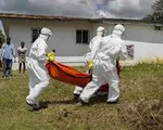 Che giấu các trường hợp nghi nhiễm Ebola sẽ bị phạt tù tại CHDC Congo