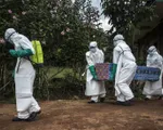 Bùng phát dịch Ebola mới ở Congo