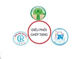 Thành lập mạng lưới điều phối ghép tạng cho trẻ em