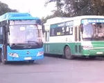 TP.HCM: Xe bus sạch khốn đốn vì chưa có tiền trợ giá