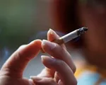 Giá thuốc lá còn rẻ, tỷ lệ người hút thuốc ở Việt Nam vẫn rất cao