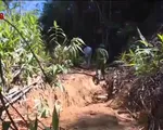 Kiên quyết xử lý phá rừng trái phép ở A Lưới - Thừa Thiên Huế
