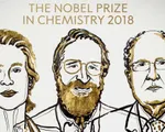 Giải Nobel Hóa học 2018 tôn vinh cuộc cách mạng của sự tiến hóa