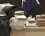 New Zealand thu giữ lượng cocaine kỷ lục trong container chuối