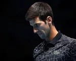 Thua tại ATP Finals, Djokovic có thể thống trị quần vợt năm 2019?