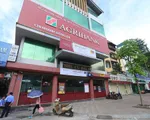 Agribank bán đấu giá hàng loạt nợ xấu