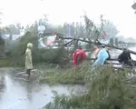 Ảnh hưởng bão số 9, TP Vũng Tàu mưa lớn, hàng loạt cây xanh ngã đổ