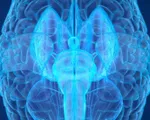 Trung Quốc phát triển máy quét não