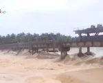 Bình Định: Gần 7.000 ha lúa mới gieo sạ có nguy cơ mất trắng do mưa lũ