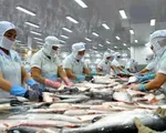 Hết tháng 11/2018, xuất khẩu cá tra cán mốc 2 tỷ USD