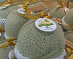 Nông nghiệp công nghệ cao - Không chỉ là đam mê