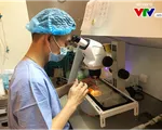Báo động: Chất lượng tinh trùng đàn ông Việt ngày càng suy giảm