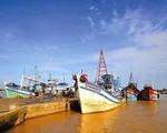 Đề xuất xây dựng cảng biển nước sâu tại cửa biển Trần Đề, Sóc Trăng
