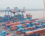 Sẽ tiêu hủy container phế liệu vi phạm không có người nhận